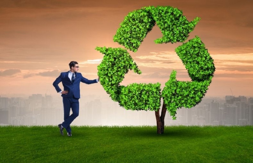 Guide on how to manage your eco business sufficiently      